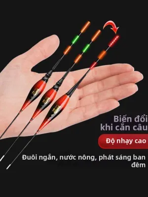 Phao Cả Ngày Và Đêm Độ Nhạy Cao