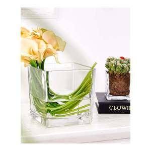 Modern Simplicity Glass Flower Vase Creative Square Hydroponic Plant Pot Green Ivy Water Cultivation Container Home Decor