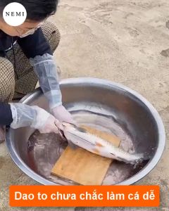 Combo 10 Chiếc Dao Mổ Cá Làm Lòng Gà Lòng Vịt Giúp Bạn Làm Lòng Gà Vịt Thật Dễ Dàng