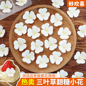 ตกแต่งเค้กดอกไม้ 3 ใบ ช็อคโกแลต ดอกไม้สีขาว ตกแต่ง Tiramisu ของหวาน อบ ตกแต่ง ช็อคโกแลต 3 ใบ ดอกไม้ ตกแต่ง