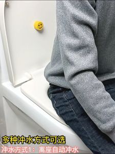 Smart Automatic Toilet Bowl Auto Flusher 2.0