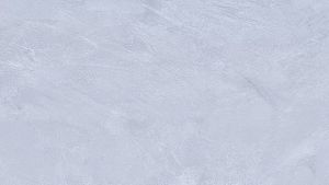 Diving Camera Housing & Flex TS-19 Arm Bracket: Essential Underwater Photography Accessories