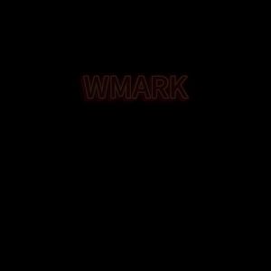 WMARK Shaver Professional Beard Trimmer Electric Shaver 10000 RPM Vector Motor Razor Shaving Machine Metal Shaver for Men NG-XS1