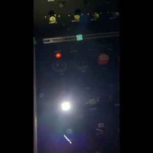 (1 PCS) Lampu LED Plafon Kabin Interior Mobil 31mm 36mm Chip 3014 Canbus Lampu Mobil Kabin