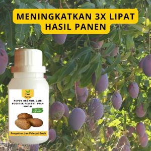Pupuk Binjai Cepat Berbuah / Pupuk Pelebat Buah Binjai / Pupuk Booster Binjai Cair