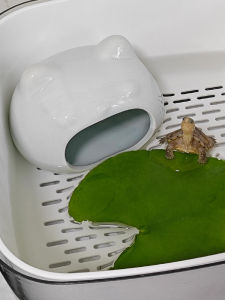 CHONGXIAOSHUAI | Ceramic Resting and Sleeping Den for Reptiles