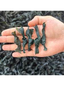 Thick Sand-Free Dried Kelp 500g