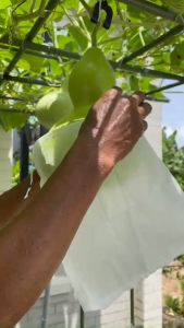 Túi bao trái cây  KT15x35cm  túi bọc trái cây bao bọc trái cây bảo vệ thành quả vườn bạn