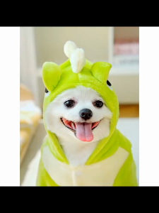 Áo khoác ấm mềm mịn cho Chó mèo hình  khủng long kèm khoen móc dây dắt (mẫu mới) - Love pets shop