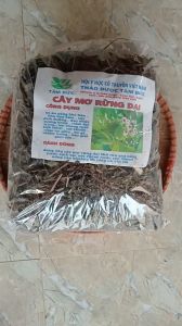 1kg cây mơ rừng dại sấy khô