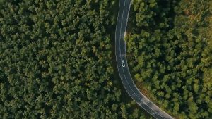 Lều Cắm Trại Tự Bung 2-4 Người  Lều Du Lịch Tự Bung 2-4 Người  Lều Tự Bung Cắm Trại 2-4 Người – Gấp Gọn Dễ Dàng Chống Nắng"