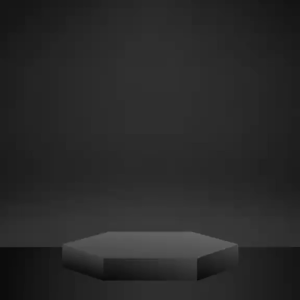 MS.G MAXX G INSTANT MIX DRINK