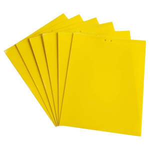 PISSA | Double-sided Insect Sticky Traps