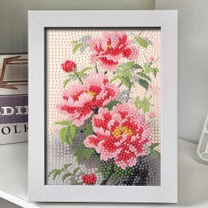 DIANDIANHUA | Hình Trang Trí Kim Cương Handmade Giảm Stress DIY