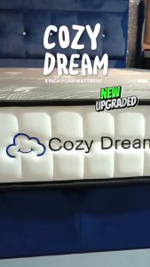[HARGA DIRECT KILANG] I HOME COZY Dream Foam Mattress 8" (Queen)