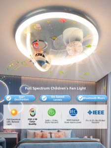 DENGSHI | Bluetooth LED Fan Light Full Spectrum Eye Protection Ceiling Light