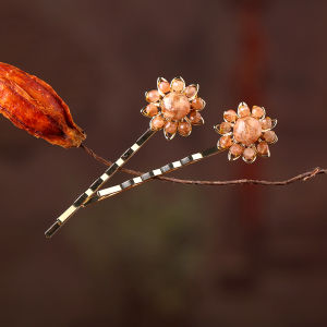 New Trendy Vintage Style Hairpins Womens Small Accessories Elegant Fairylike Jiangnan Rainy Style Alloy Plated Hair Clips