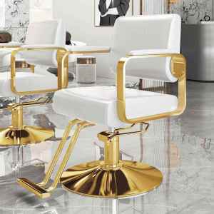 ZHENTAIYUAN | Adjustable Rotating Stylish Hair Salon Chair