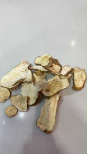 สมุนไพรจีน แปะตุ๊ก Baizhu 白术บำรุงธาตุ ขับลม ช่วยเจริญอาหาร ขับปัสสาวะ