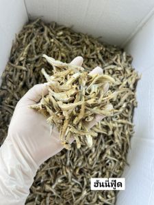 ปลาจิ้งจั้งเกรดดี 3-4-5