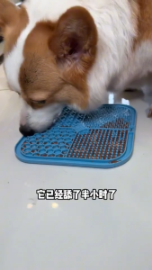 แผ่นเลียสุนัข Lick Mat แผ่นเลีบซิลิโคน แมว ให้อาหารช้า ฝึกสุนัข IQ CW101