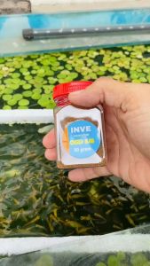 3 hủ Cám Thái Inve 5/8 1 Hủ 50g Thức Ăn Cá Cảnh Cám Cá Con Cá 7 Màu Betta cá thủy sinh