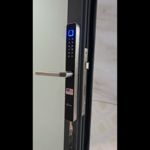 Khóa cửa nhôm Demax EL-C102 AG app wifi chính hãng công nghệ Đức chống nước cao cấp