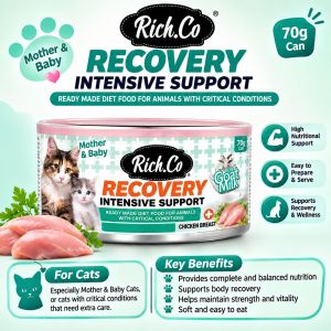 Rich.co Recovery Intensive Support 170g Can for Cats with Critical Conditions. High Nutritional Value Easy to Prepare Supports Recovery and Wellness. Chicken Breast Flavor.