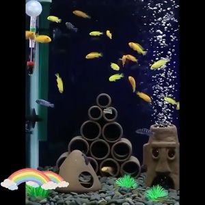 Aquarium Decorative Ceramic Ornament Fish Hiding Cave Shelter Fish Tank 鱼缸装饰 躲避洞