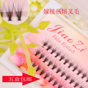 Artificial Fiber Eyelashes Thickened Winged Look Easy to Use Natural Looking Tea Rose Petal Single Eyelash for Beauty Salons