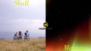 SKULL MONTON WOMENS SHORT SLEEVE JERSEY NORTHERNLIGHTS