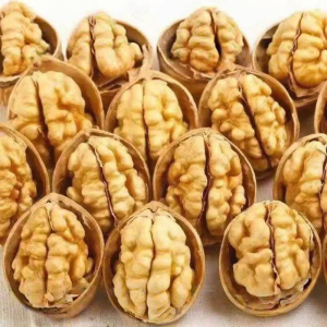 Pregnant Women Suitable Fresh Aksu Paper Skin Walnut 5 catties