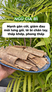 [Hàng mới về] Vỏ ngũ gia bì sấy khô 500g - Tấn Phát - Hỗ trợ cải thiện sức khoẻ xương khớp