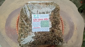cây rau dệu sấy khô 1KG - TẶNG 100G CỎ NGỌT
