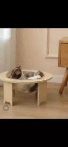 Detachable Cat Nest Capsule House Wooden Bedside Cat Bed Transparent Sleeping Bed Cat Hanging Tempat Tidur Kucing