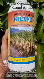 POC GRAND ANTIK PUPUK ORGANIK CAIR DAN ZPT SUPER 1 Liter Nutrisi Biota Lengkap Plus Giberlin