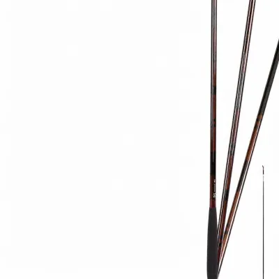 Daiwa | Carp Fishing Rod Telescopic Carbon
