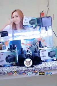 Sakkai Pro AA-103 / Sakkai pro aa 103 / Sakkai pro aa / Sakkai pro aa103 / Pompa sakkai pro / Pompa sakkai pro aa103 / Pompa sakkai pro 103 / Pompa aquarium / Pompa aquarium murah / Pompa air sakkai pro / pompa air kolam sakkai pro aa 103