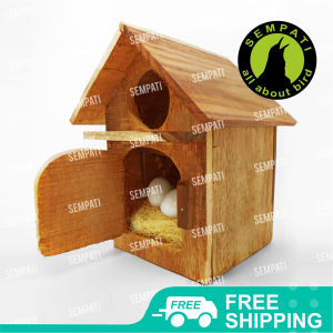 SEMPATI Glodok Rumah Parkit Glodokan Kayu Tempat Sarang Ternak Breeding Koloni Bertelur Kandang Burung Lovebird Kenari Dll GLDRP