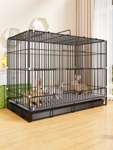 QINQI | Automatic Clean Large Rabbit Cage