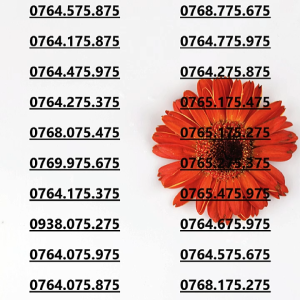 Sim Mobifone 75x75 vừa phát triển thịnh vượng vừa bình an (CHƯA KÍCH HOẠT PHẢI ĐĂNG KÝ CHÍNH CHỦ )