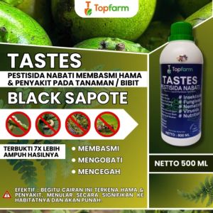 Obat Semprot Buah Black Sapote / Obat Tanaman Black Sapote / Obat Buah Black Sapote / Obat Hama Buat Buah Black Sapote / Obat Hama Buah Black Sapote