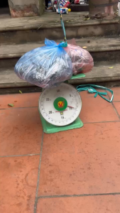 CẦN CẮM GỐC PHUKET TẢI CÁ 20-25 CÂN NGỌN ĐẶC 3LY8 CẦN 8 KHOEN TẢI MỒI 30-50 GAM CÂU MỌI ĐỊA HÌNH