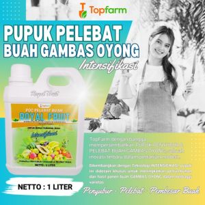 Pupuk Pelebat Buah Gambas / Pupuk Pelebat Buah Oyong / Pupuk Buat Oyong Emes / Pupuk Booster Oyong / Pupuk Oyong / Pupuk Penyubur Daun Dan Buah