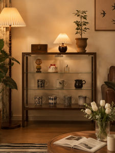 DMX | Display Storage Cabinet Glass and Wood