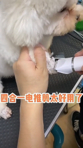 【Ready Stock】4 in 1 Pet Hair Trimmer Dog Trimmer Cat Hair Grooming Shaver Washable Blade Type-C Charging