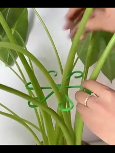 4Pcs Flower Plant Stem Support Stakes Climbing Houseplant Stand Frame Plastic Garden No Stake Trellis Indoor Plant Holder Rack Hoops