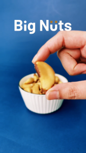 Big Nuts Lightly Roasted  Brazil Nuts (Unsalted) 500g Value Pack / Kacang Brazil - Halal Certified