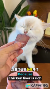 NutriTail 10pcs 40g Chicken Breast Liver Heart Healthy High Protein Pet Wet Food Treats For Cats and Dogs