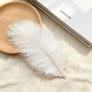 EELHOE | 25 To 30cm Ostrich Feather Soft Plume Decorative Feather Multicolor Options For Wedding Home Party DIY Craft Ornament